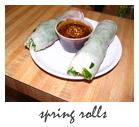 international 2 spring rolls